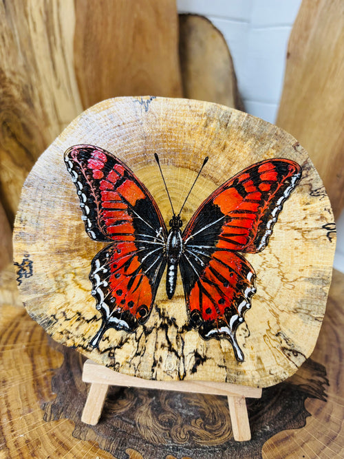 Beautiful butterfly , laser engraved and hand painted onto a slice spalted oak