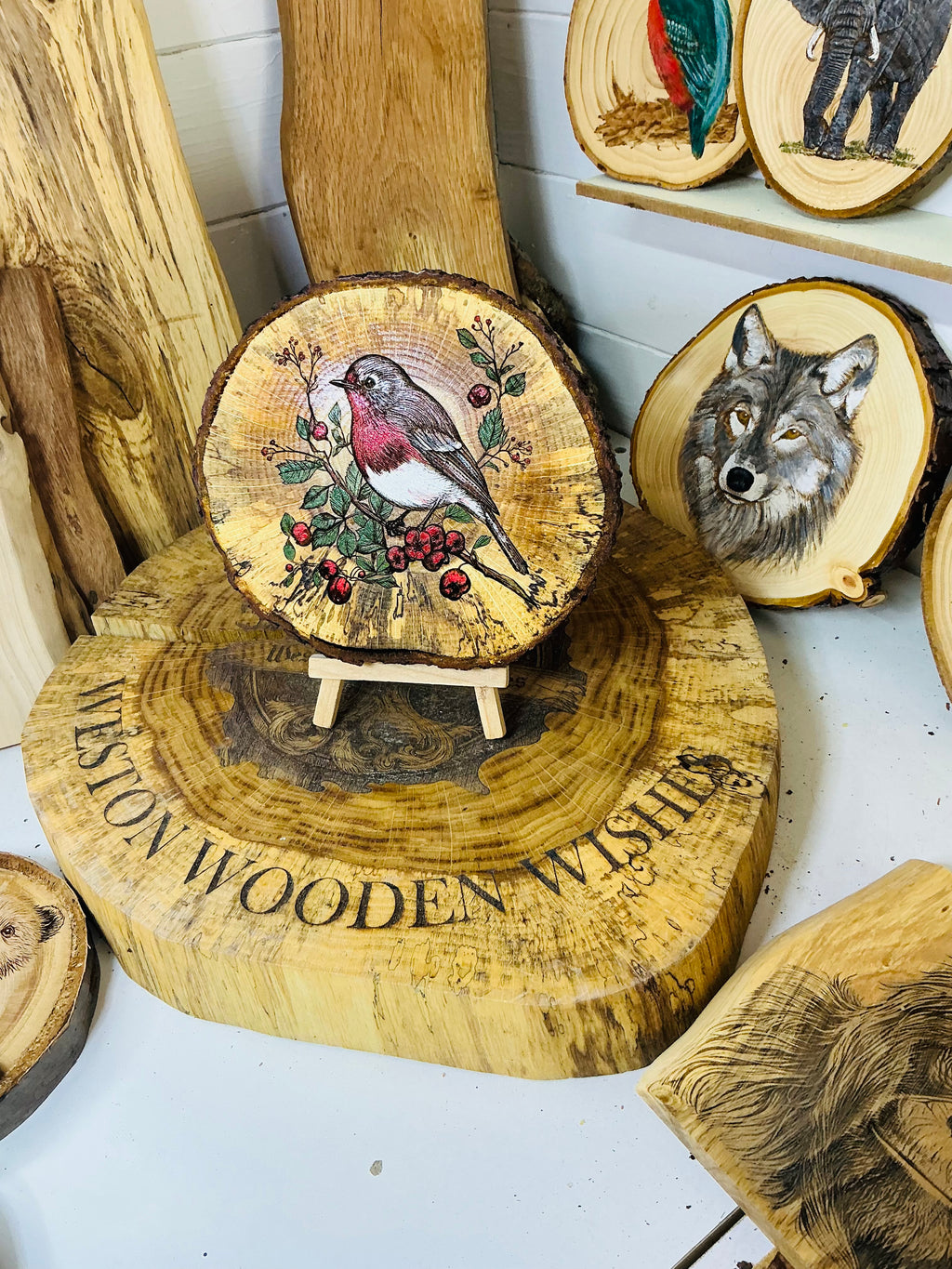 Robin red breast on spalted oak slice