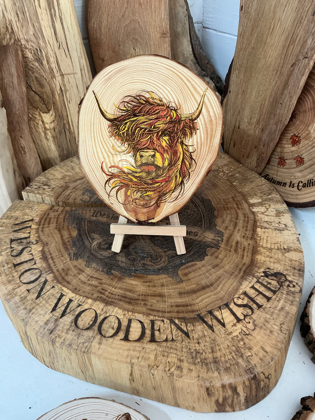 Highland cow laser engraved and hand painted onto a rustic Log slice with stand