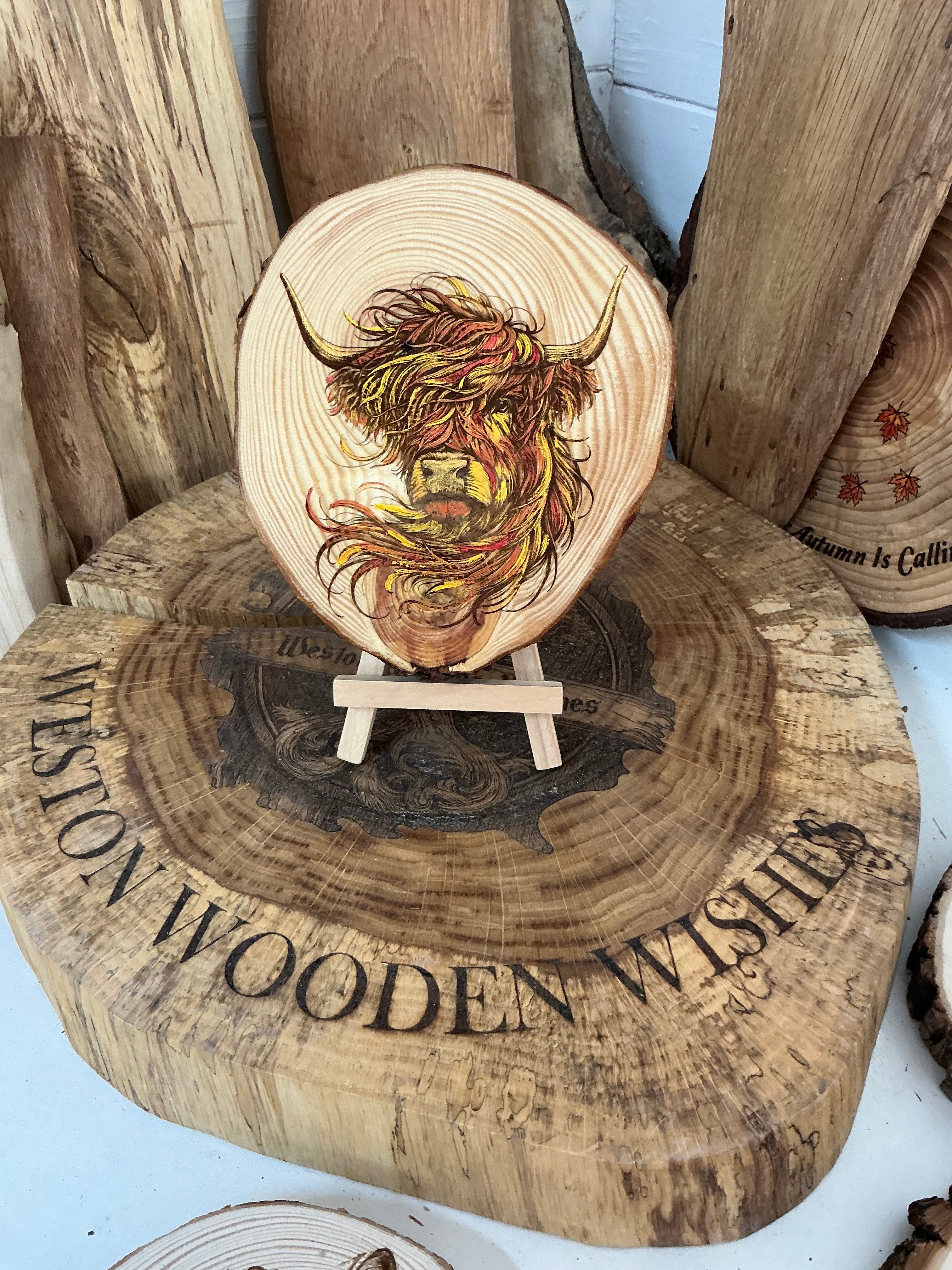 Highland cow laser engraved and hand painted onto a rustic Log slice with stand