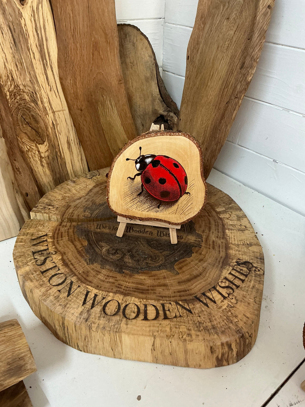 Lady bug laser engraved onto a unique slice  of silver birch beautifully hand painted with stand
