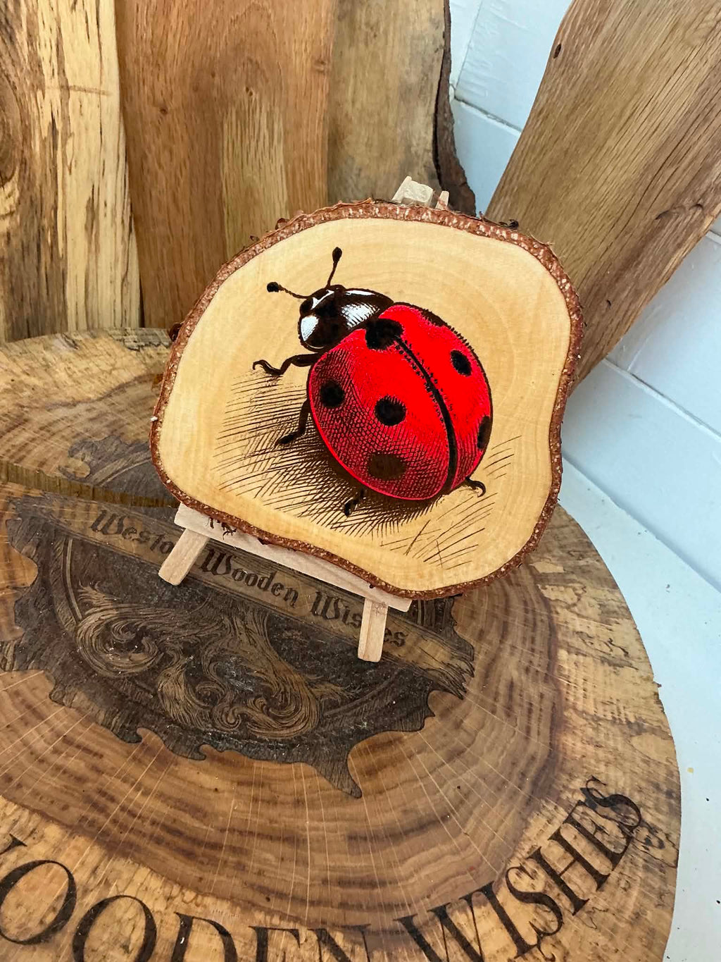Lady bug laser engraved onto a unique slice  of silver birch beautifully hand painted with stand