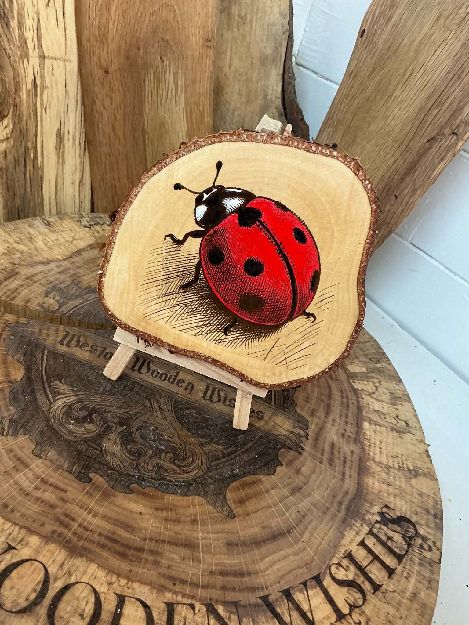 Lady bug laser engraved onto a unique slice  of silver birch beautifully hand painted with stand