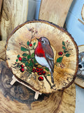 Robin red breast on spalted oak slice