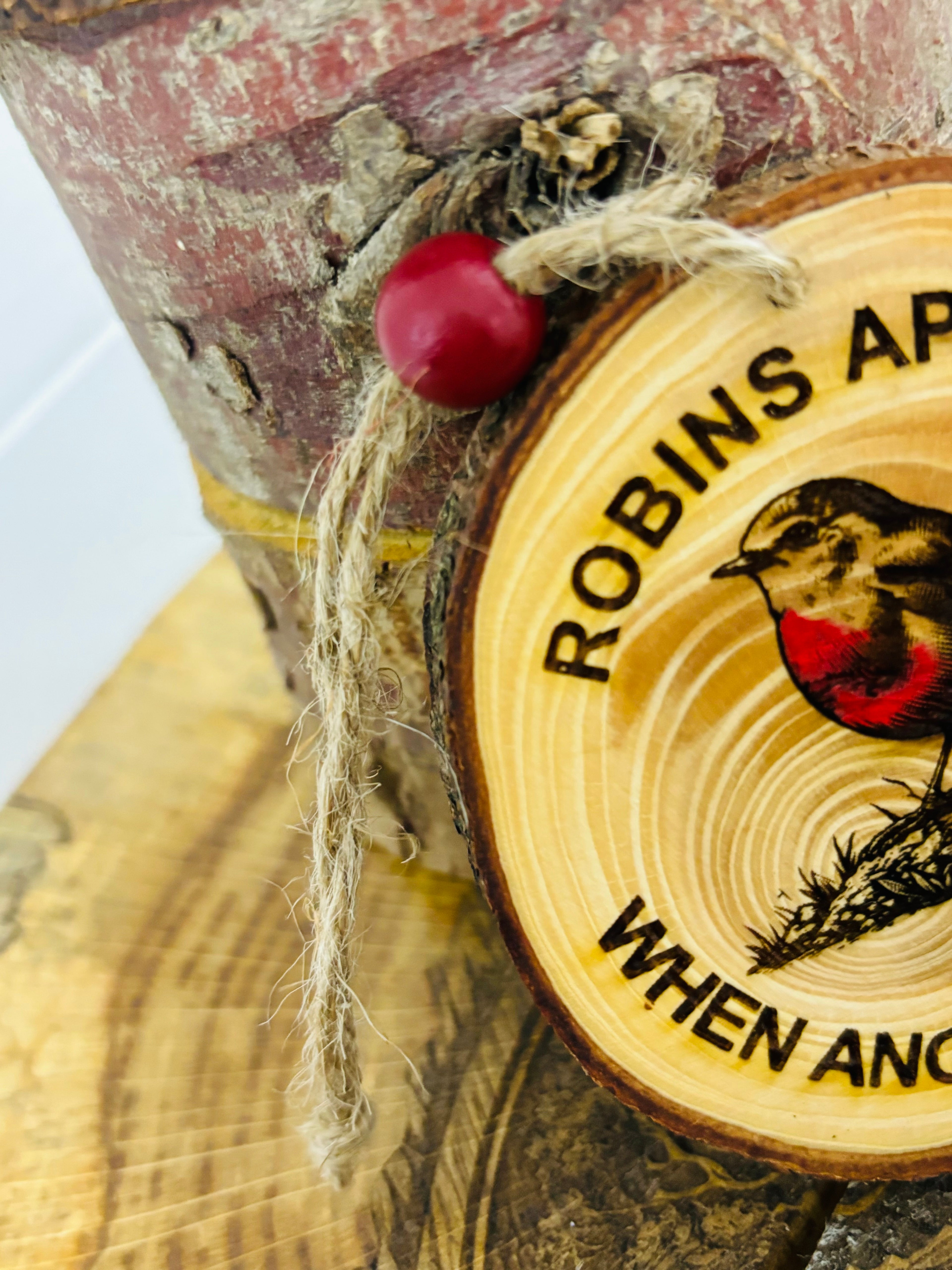 Robins appear hanging logs slice with twine and bead